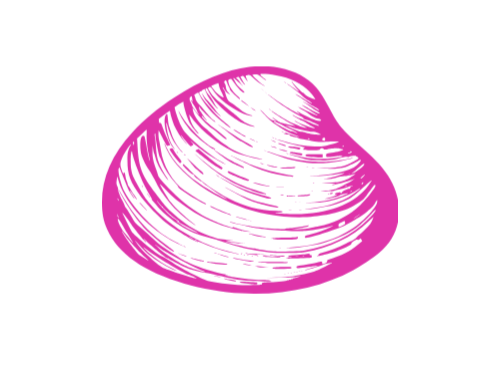 Rhode Island Quahog, littleneck, clam vinyl sticker